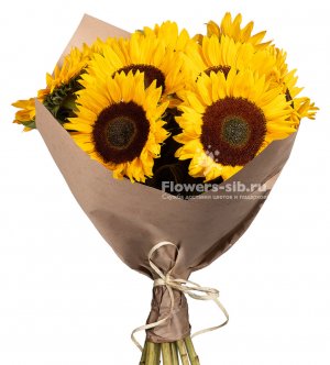 Bouquet of sunflowers